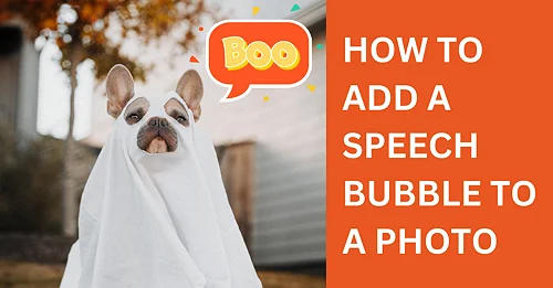 how-to-add-speech-bubbles-to-photos-try-for-free