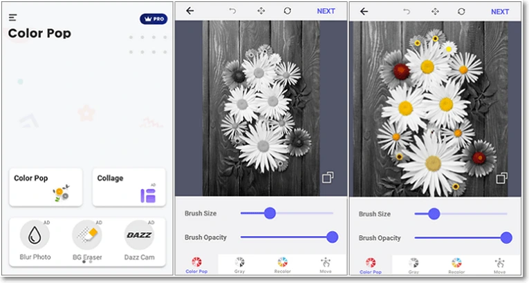 Crea imágenes en blanco y negro con detalles en color directamente en tu móvil