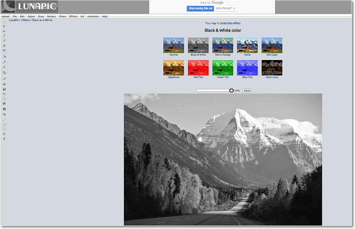 Convert a photo into black and white with Lunapic