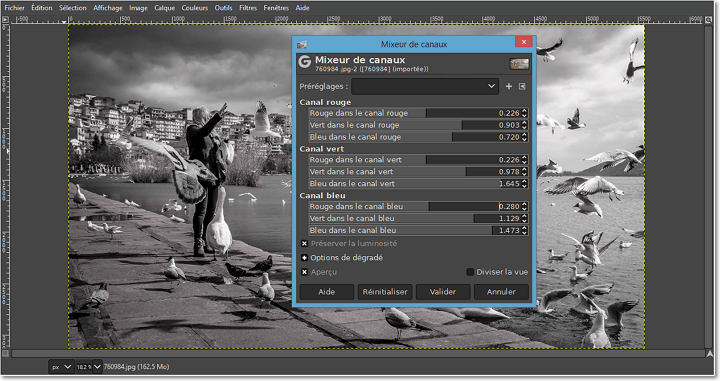 Mettre une photo en noir et blanc avec Gimp.