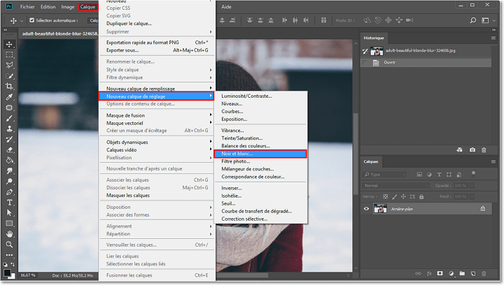 Choose the black and white adjustment layer