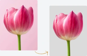 Supprimer l'arrière-plan d'une photo