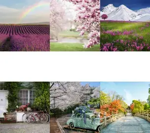 Spirit of Spring Backgrounds