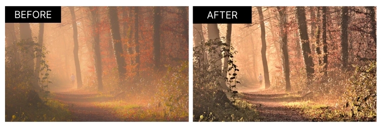 Make pictures more clear with a dehaze tool