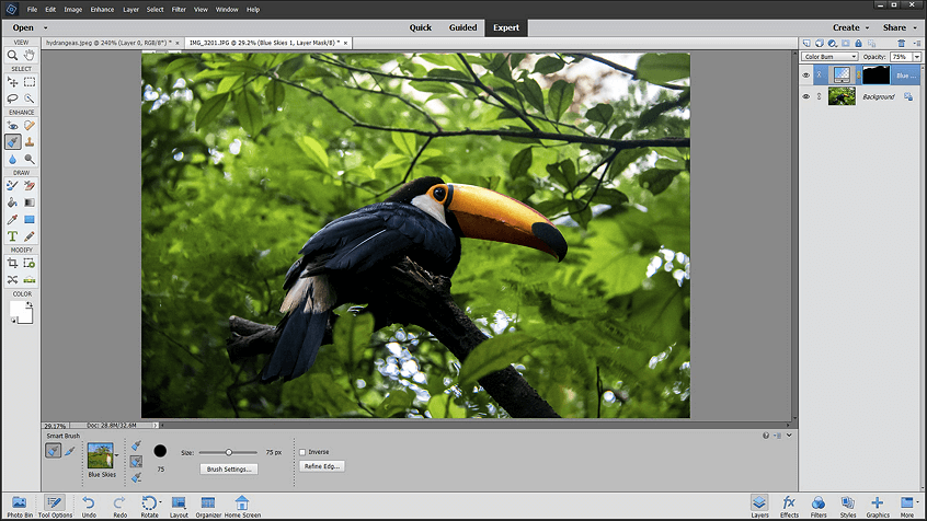 Photoshop Elements, one of the best photo editors for Windows 11