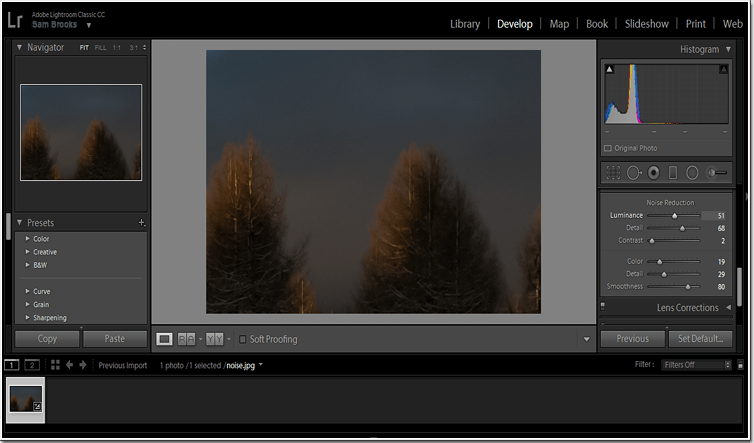 Reduzieren Sie Rauschen in Ihrem Bild in Lightroom