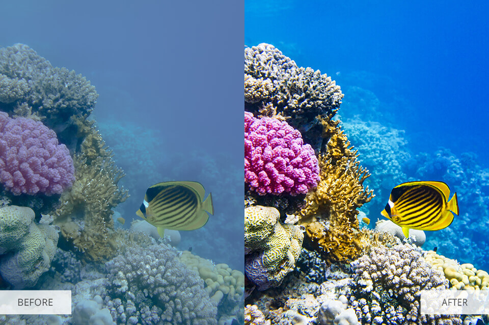 Underwater photography preset