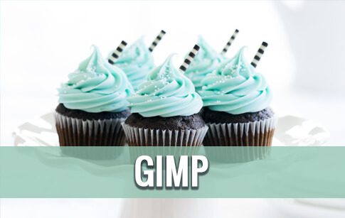 GIMP video