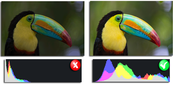 Check out the photo histogram to fix its underexposure