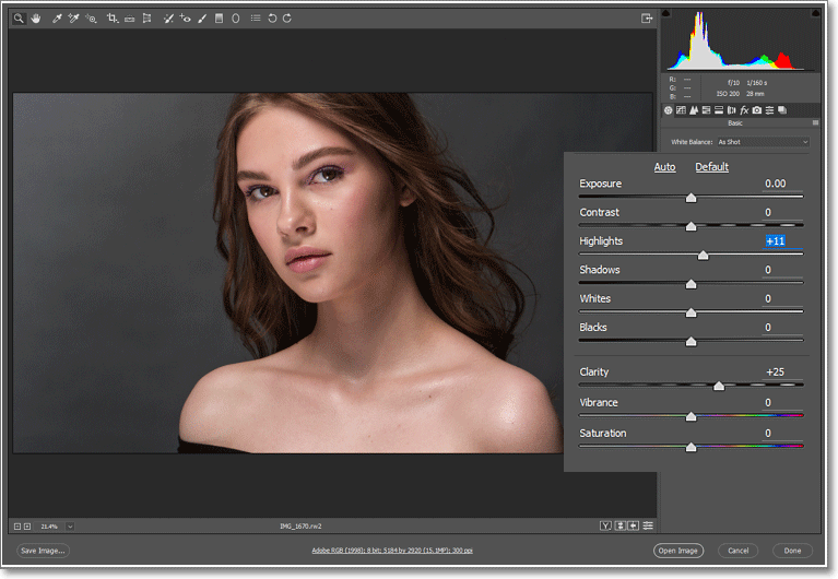 Adobe 2024 Settings For Portraits Joell Madalyn