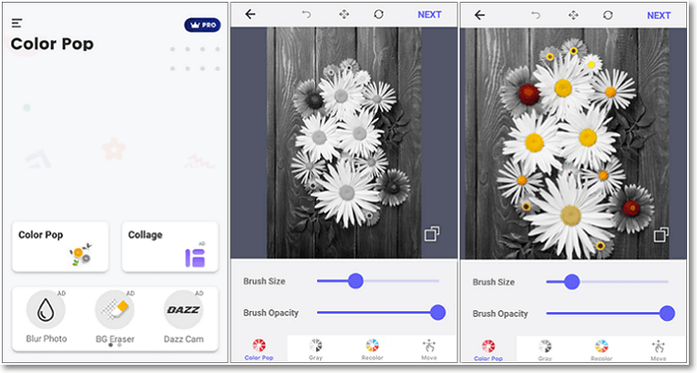 Create a B&W image with a pinch of color right on your cell phone