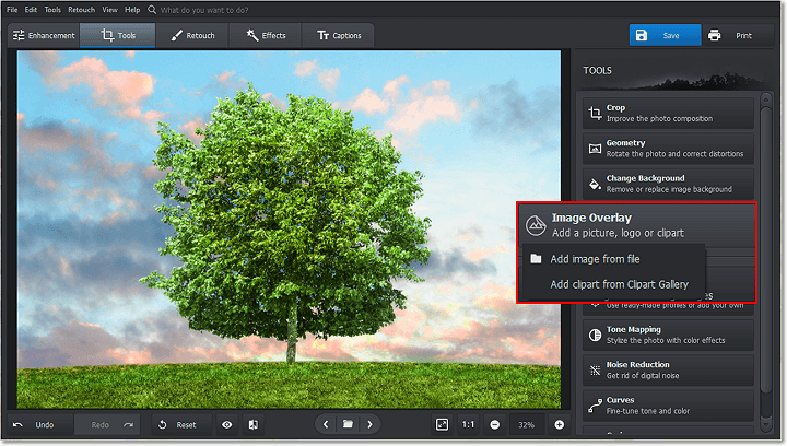 Select the Image Overlay tool