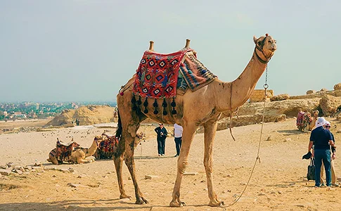 A picture with original background
