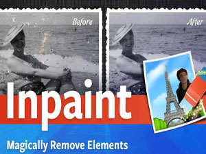 Inpaint Review