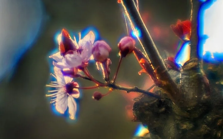 Example of chromatic aberration