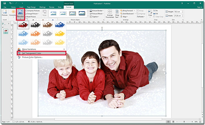 Transparent Background PNG and How to Make a PNG Transparent