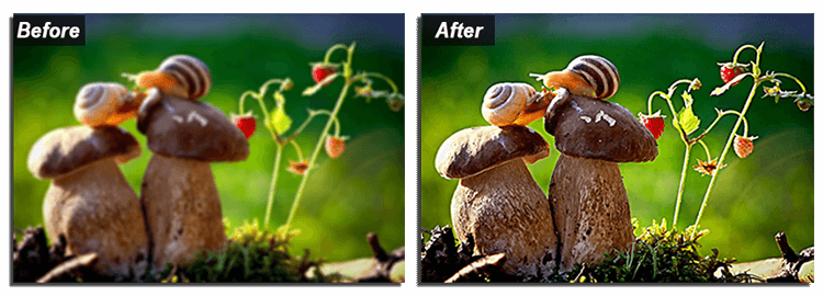 How To Sharpen Blurry Photos 5 Ways To Fix A Blurry Picture