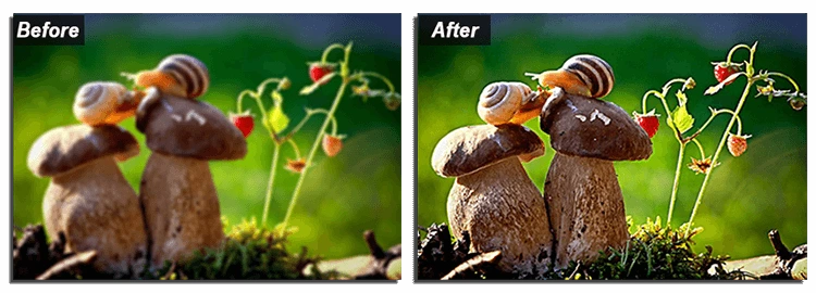 How to edit blurry photo: before-after