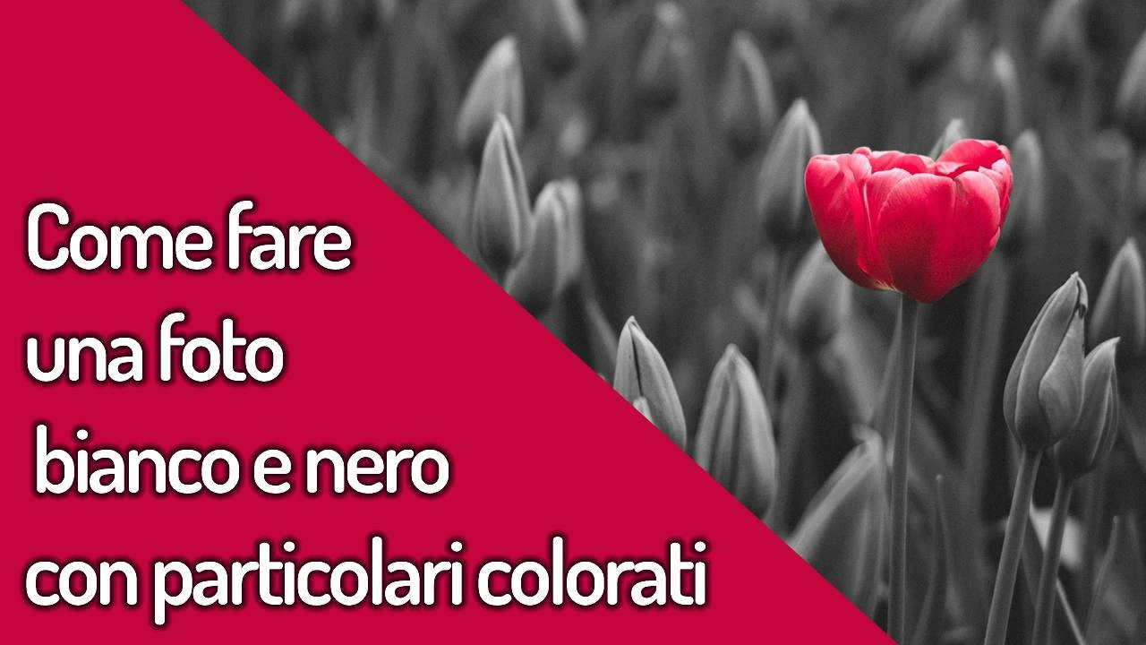 Come creare foto bianco e nero con particolari colorati - tutorial